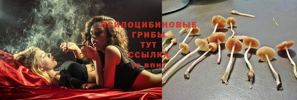 соль курить ск Алзамай