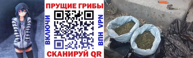 это клад  Чернушка  Галлюциногенные грибы мухоморы 