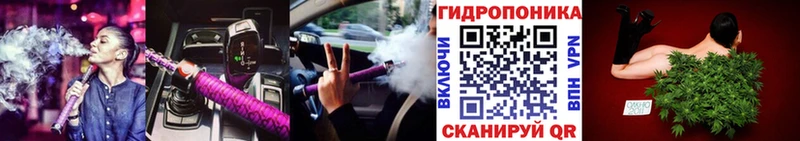 продажа наркотиков  Чернушка  Канабис семена 